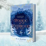 Północ w Everwood okładka