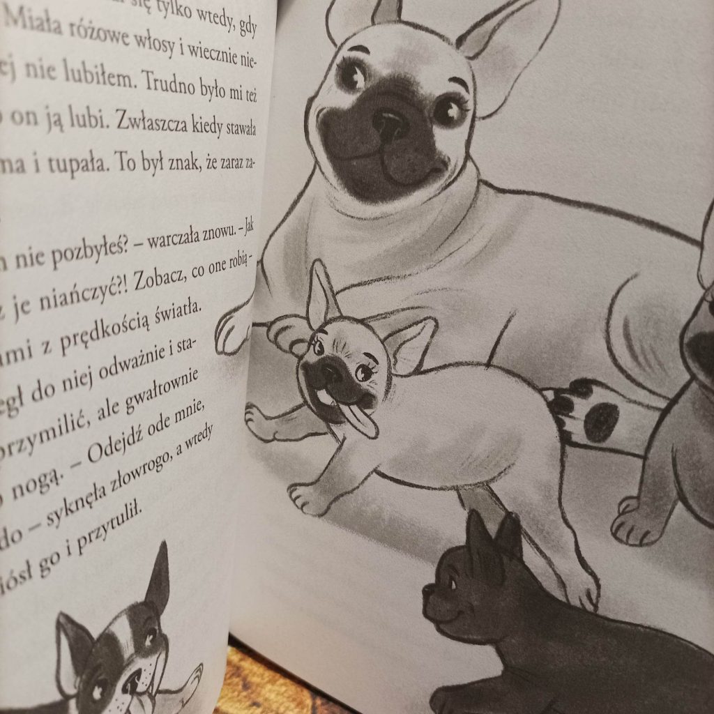 Pieskie sprawy Timona i Lusi ilustracje