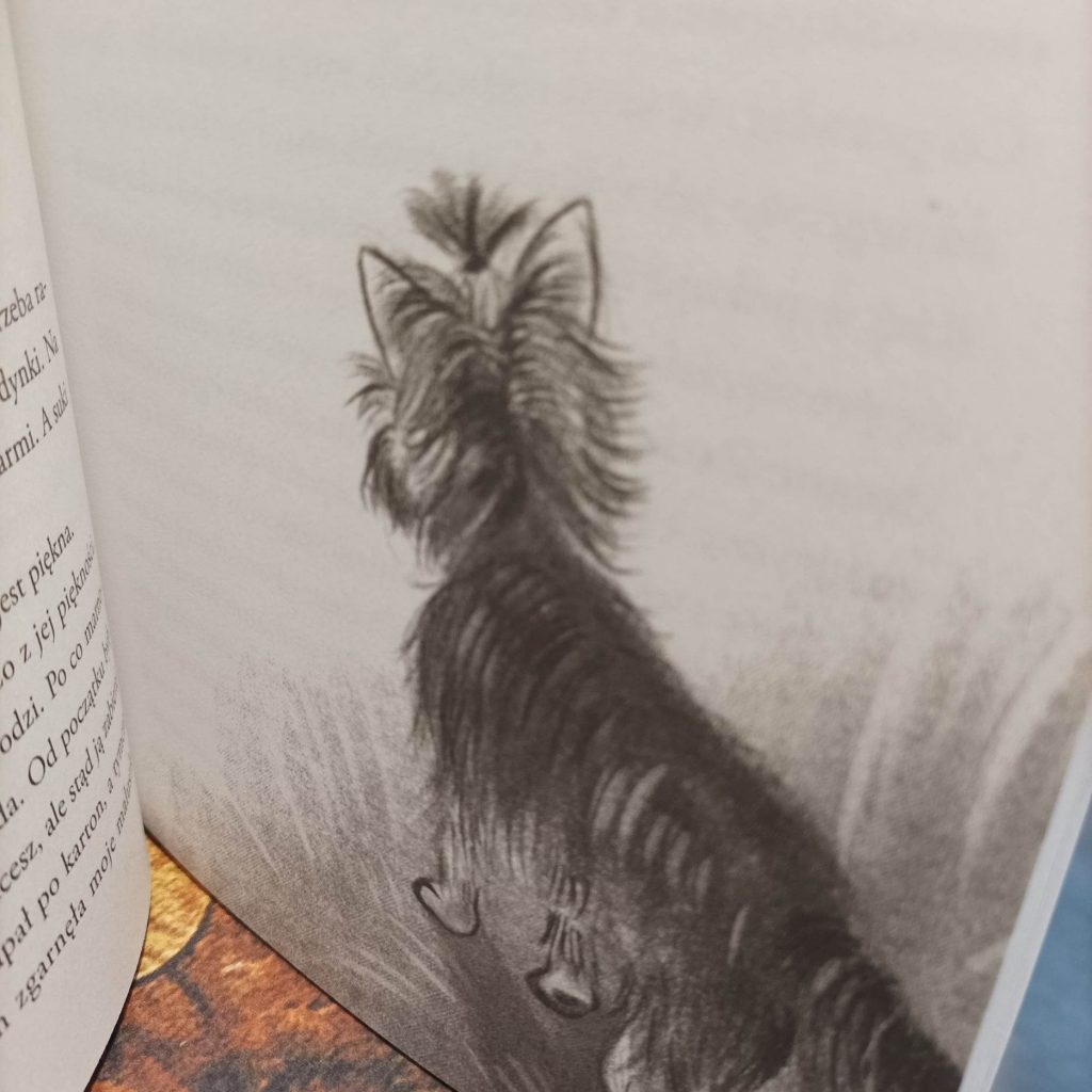 Pieskie sprawy Timona i Lusi ilustracje