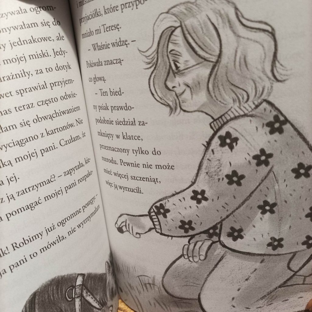 Ilustracja książki