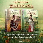 Echa przyszłych dni, okładka