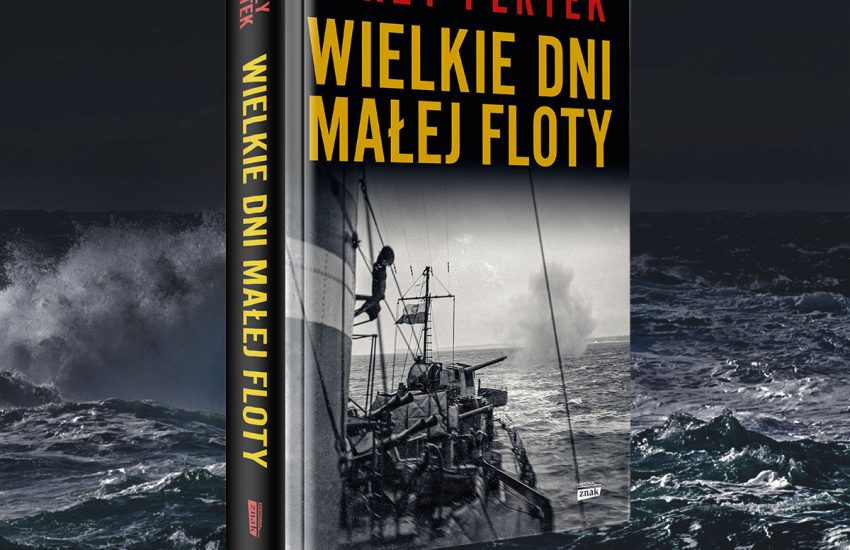 Wielkie dni małej floty, okładka