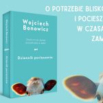 Dziennik pocieszenia, okładka