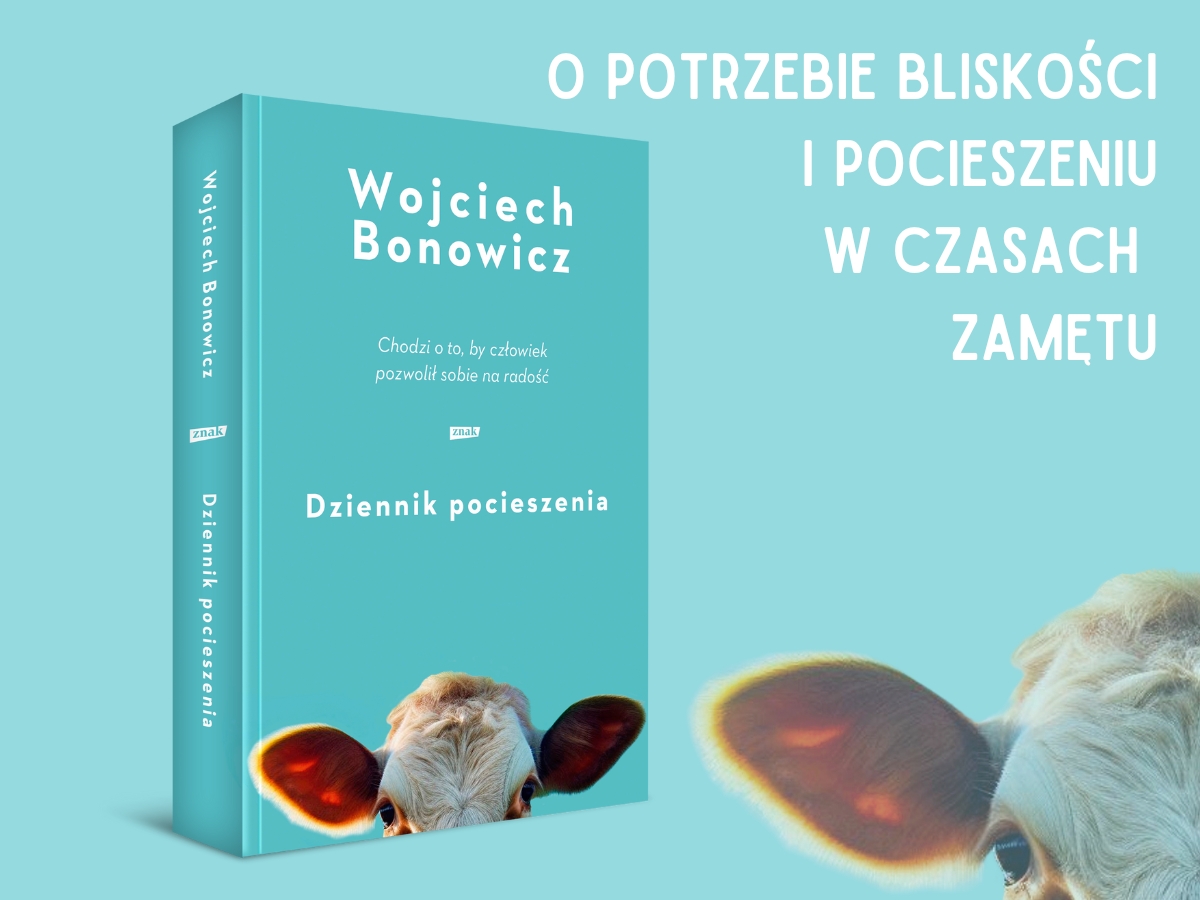 Dziennik pocieszenia, okładka