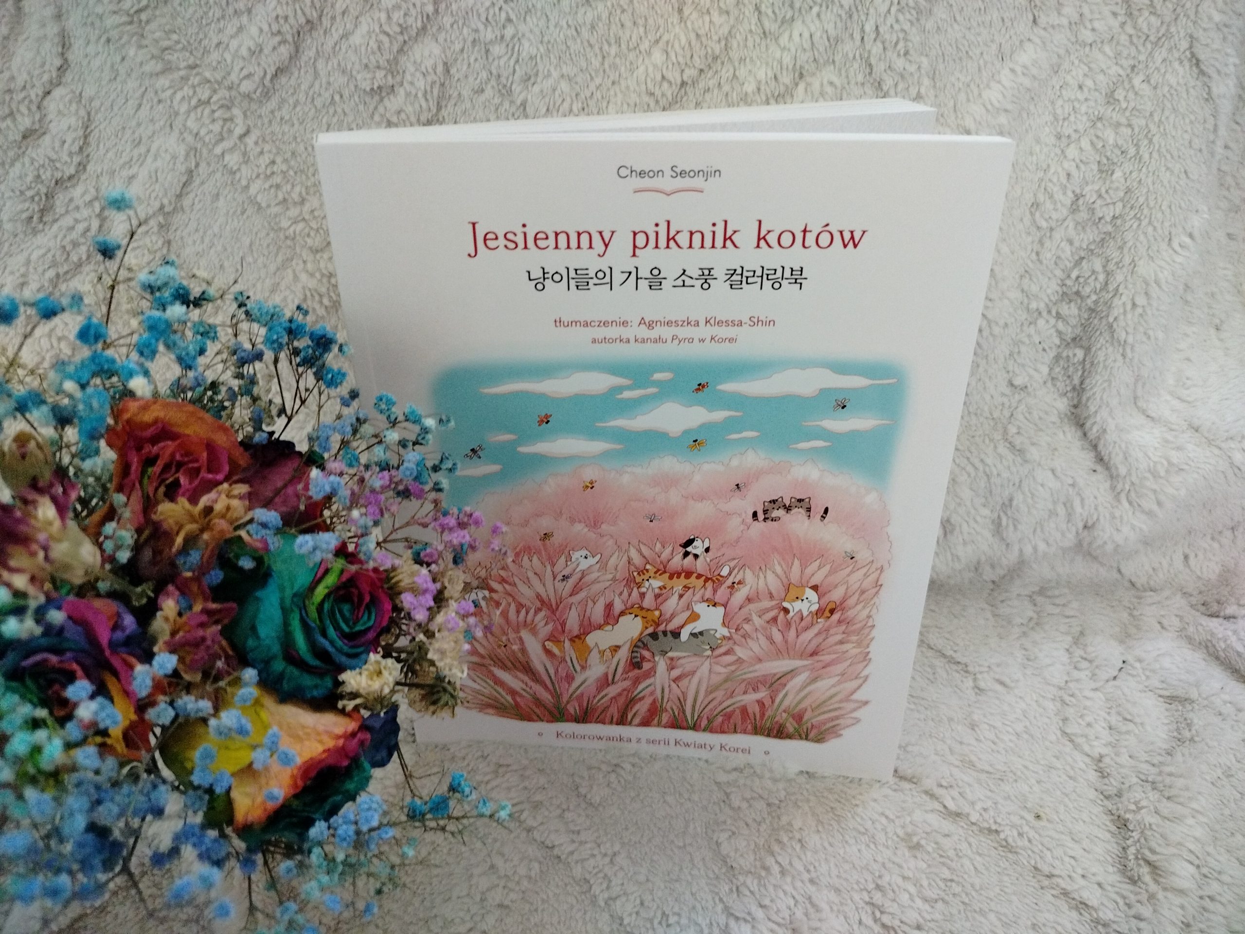 Jesienny piknik kotów, okładka