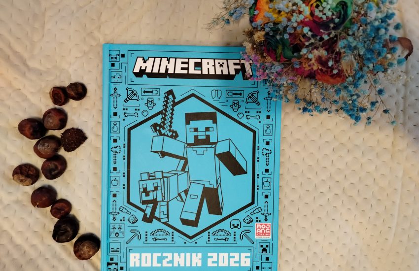 Minecraft, okładka