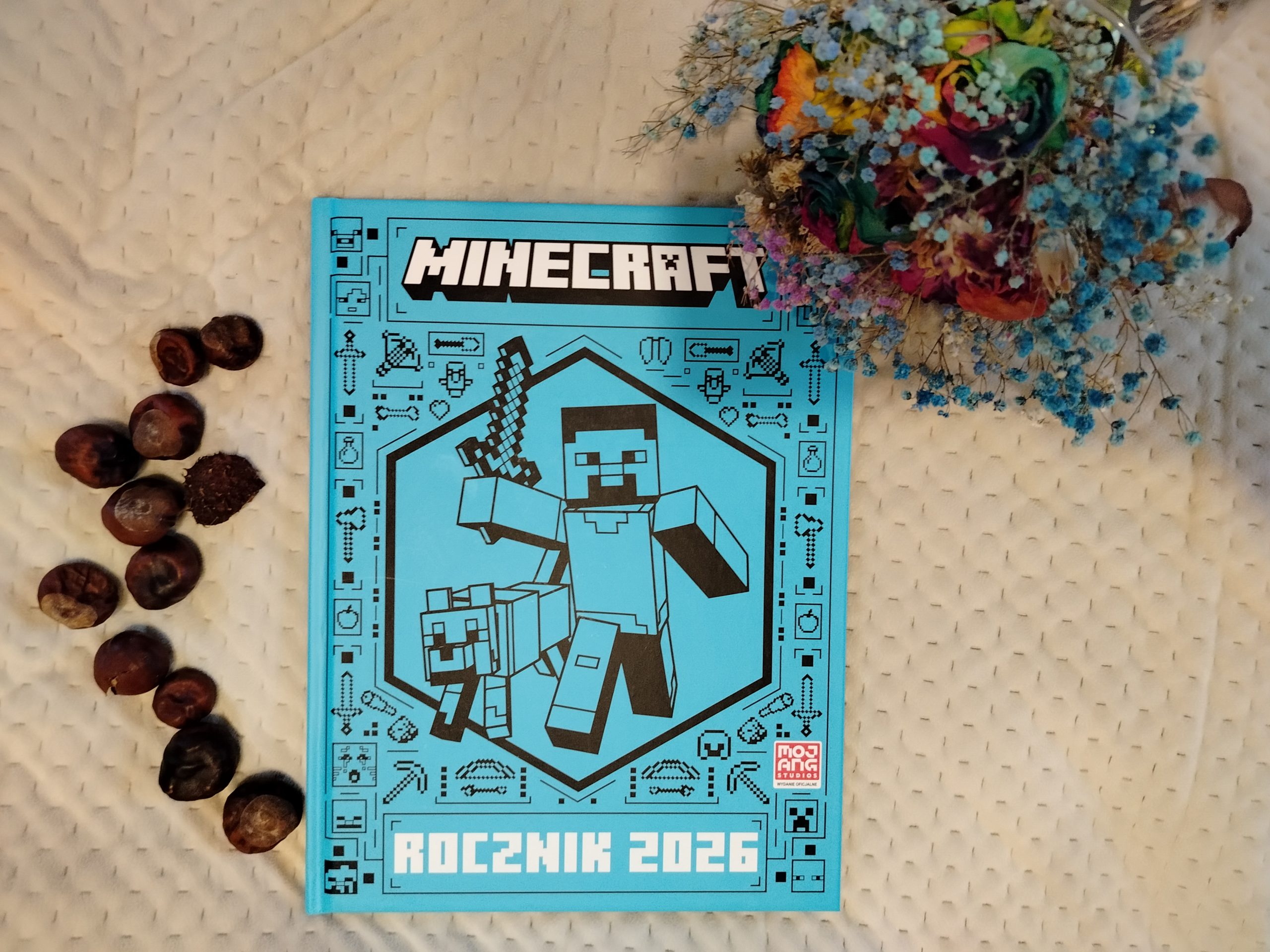 Minecraft, okładka
