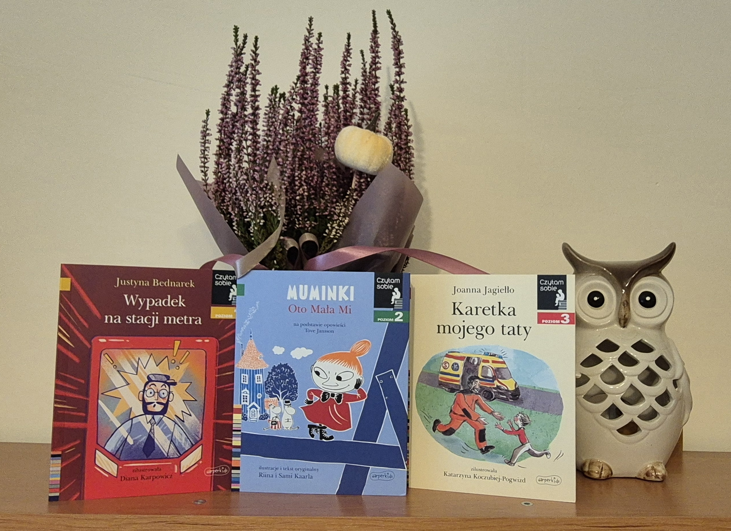 Czytam sobie, okladka