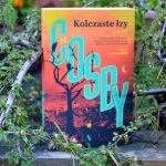 Kolczaste łzy, okładka