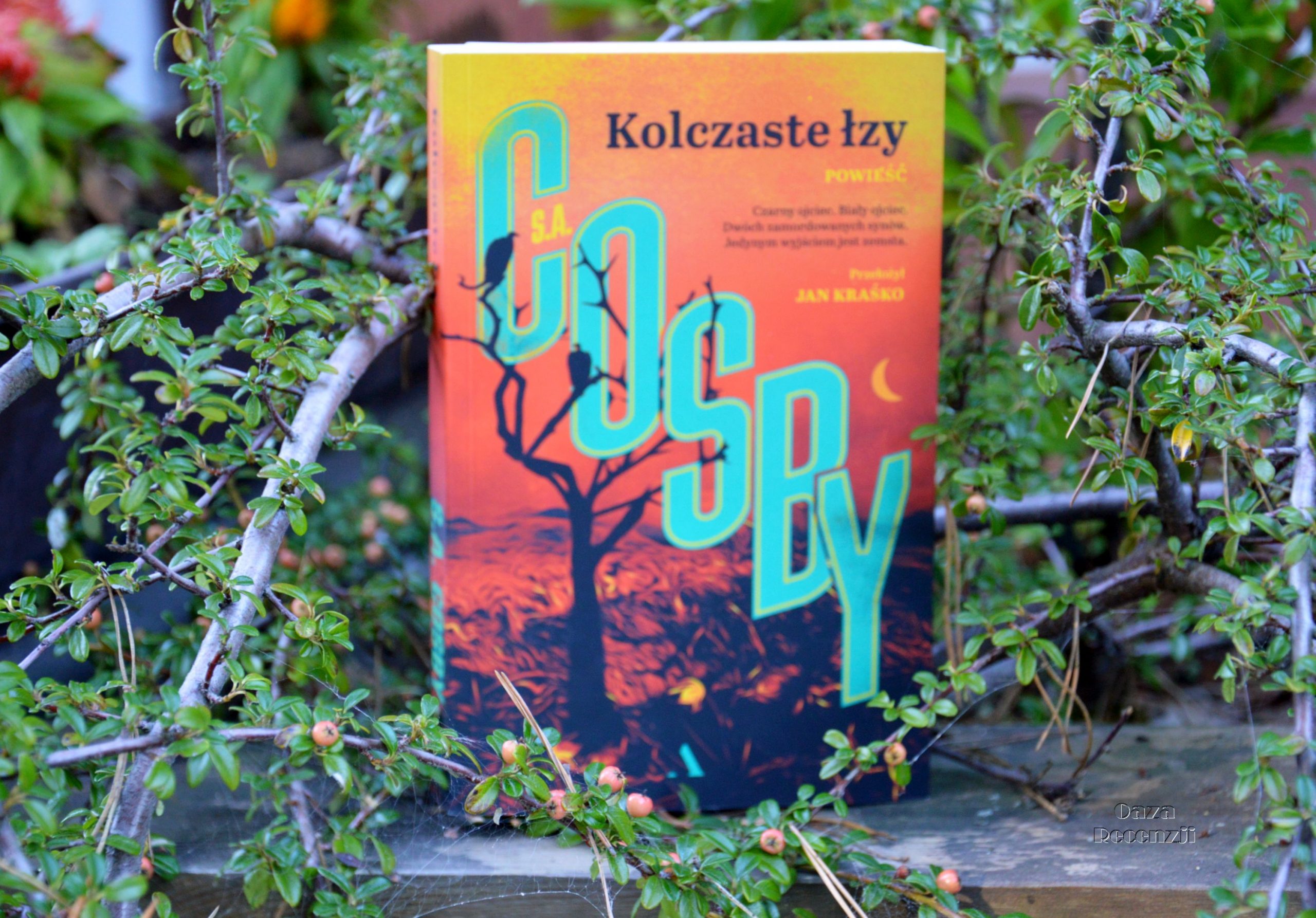 Kolczaste łzy, okładka