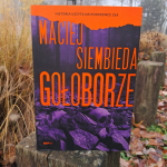 Gołoborze, okładka