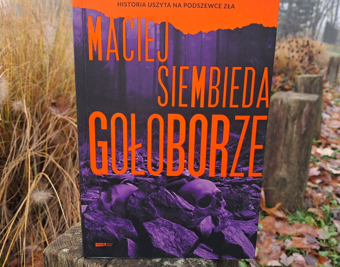 Gołoborze, okładka