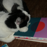 Wonderland, okładka