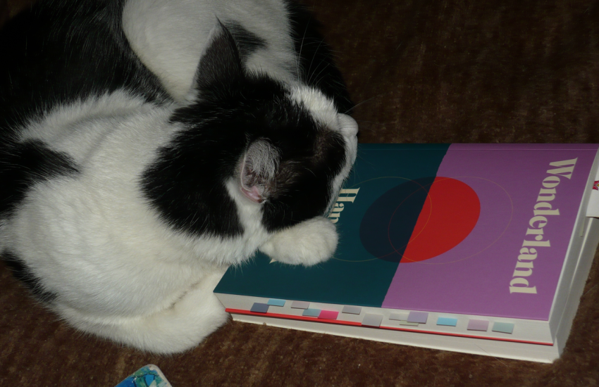 Wonderland, okładka