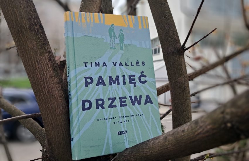 Pamięć drzewa, okładka