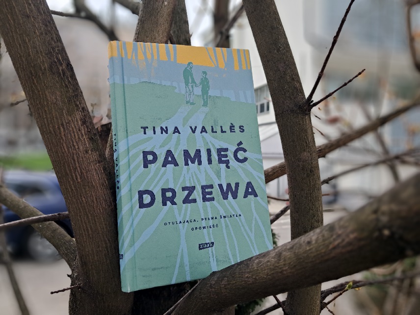 Pamięć drzewa, okładka