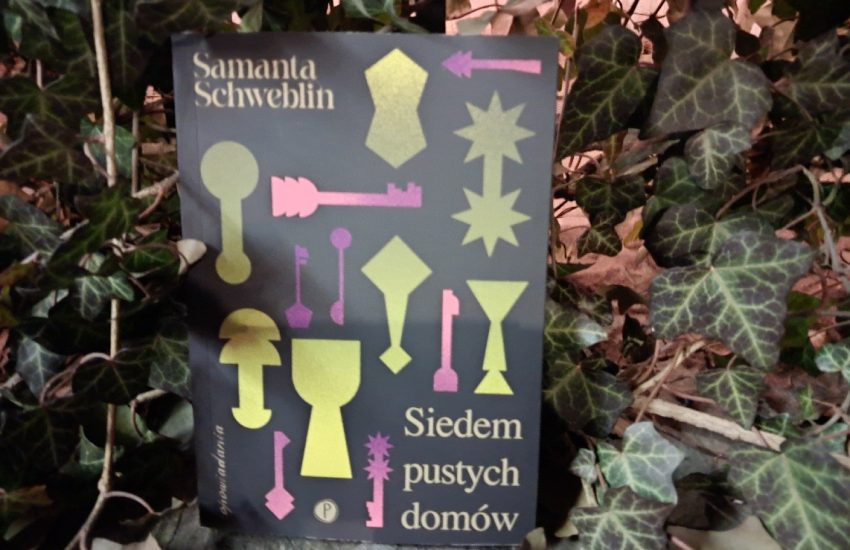 Siedem pustych domów, okładka